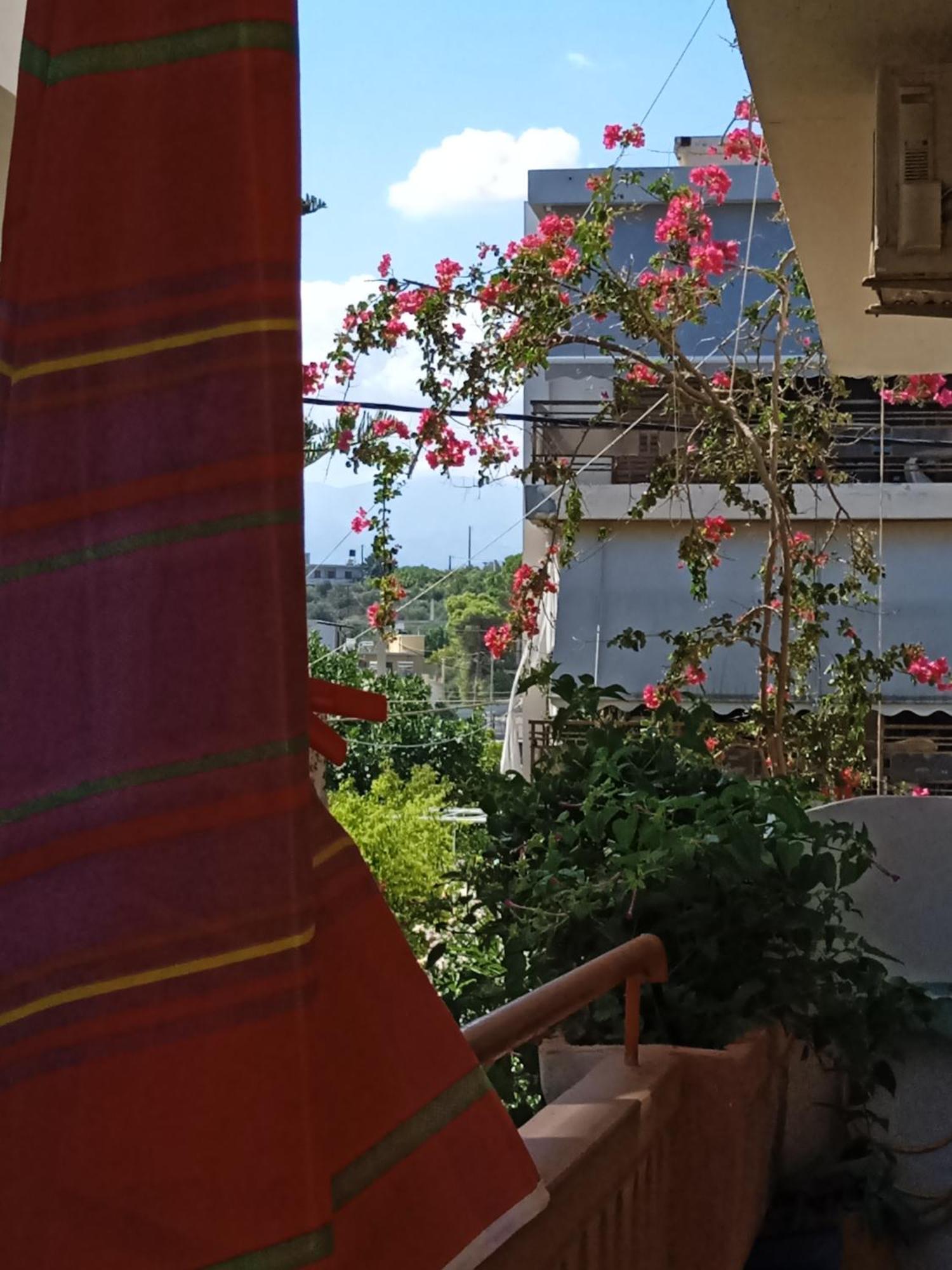 Ilona Apartments Chania 카토다라초 객실 사진