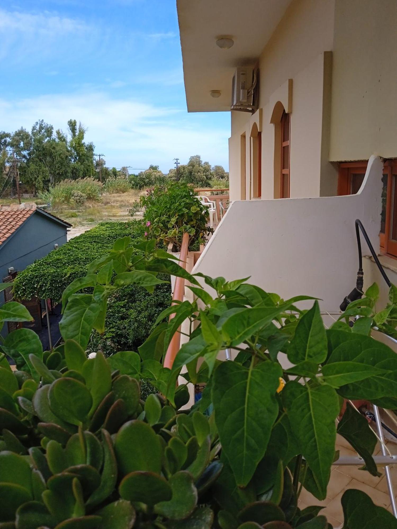 Ilona Apartments Chania 카토다라초 객실 사진