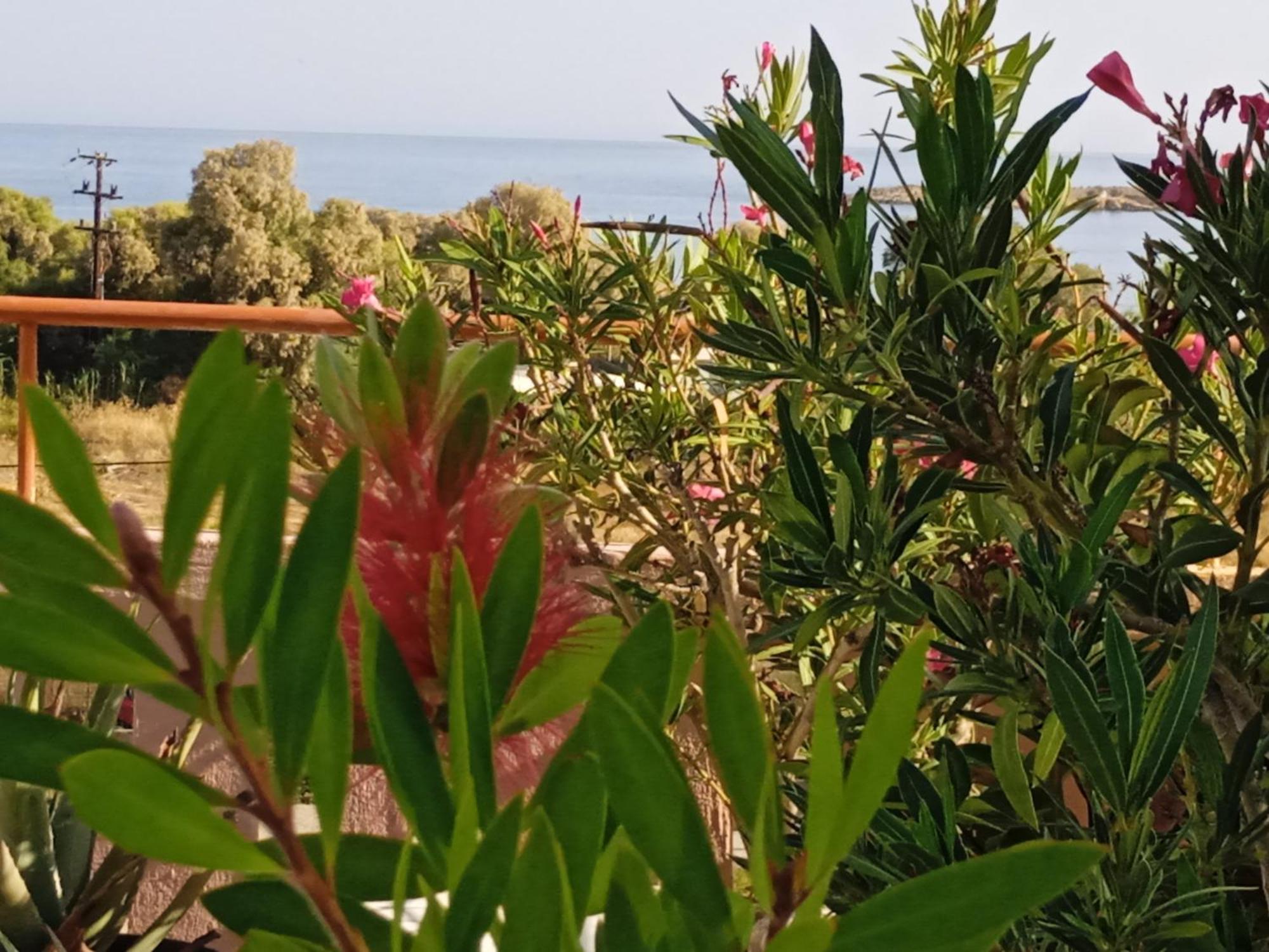 Ilona Apartments Chania 카토다라초 객실 사진