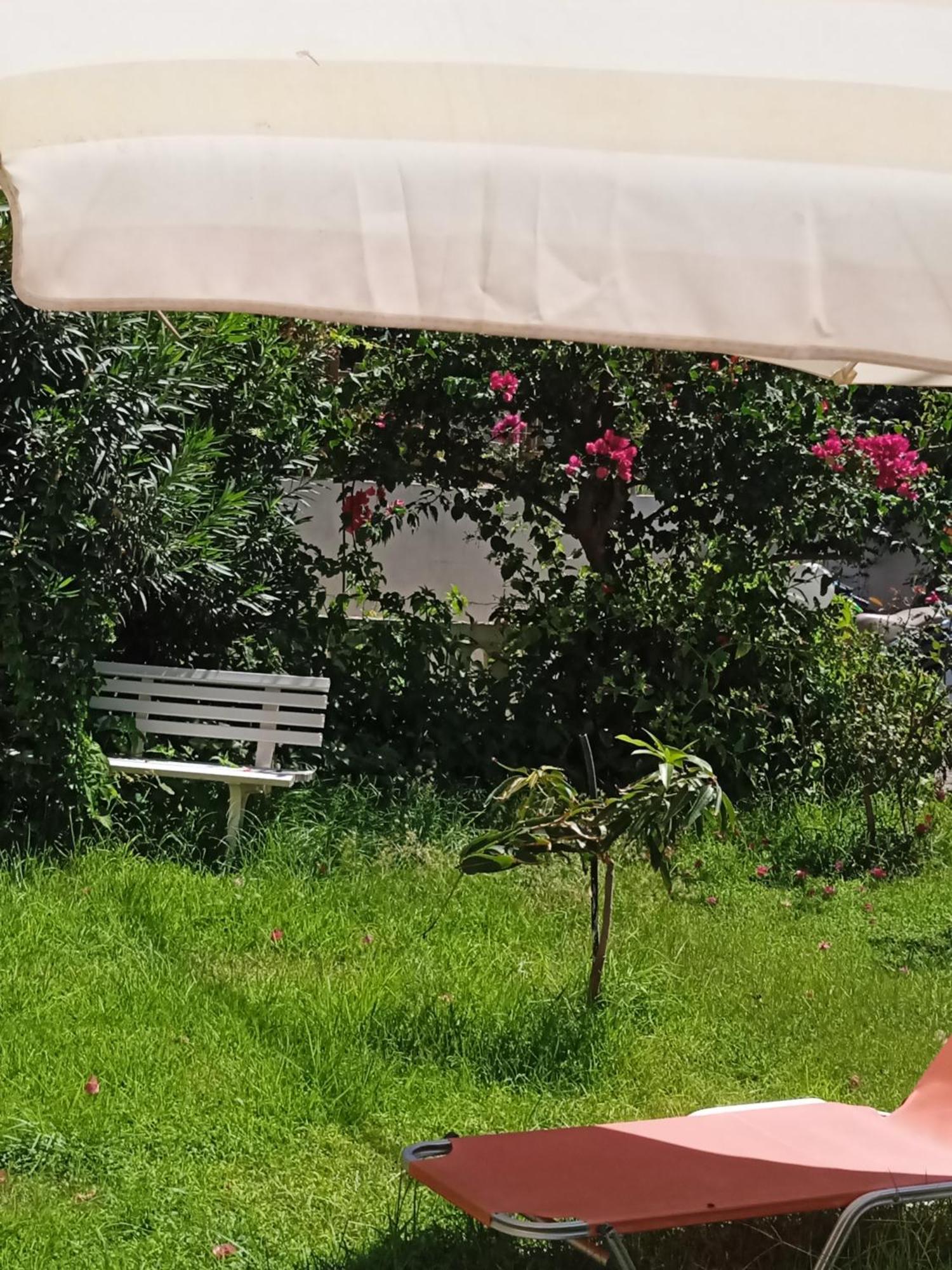 Ilona Apartments Chania 카토다라초 객실 사진