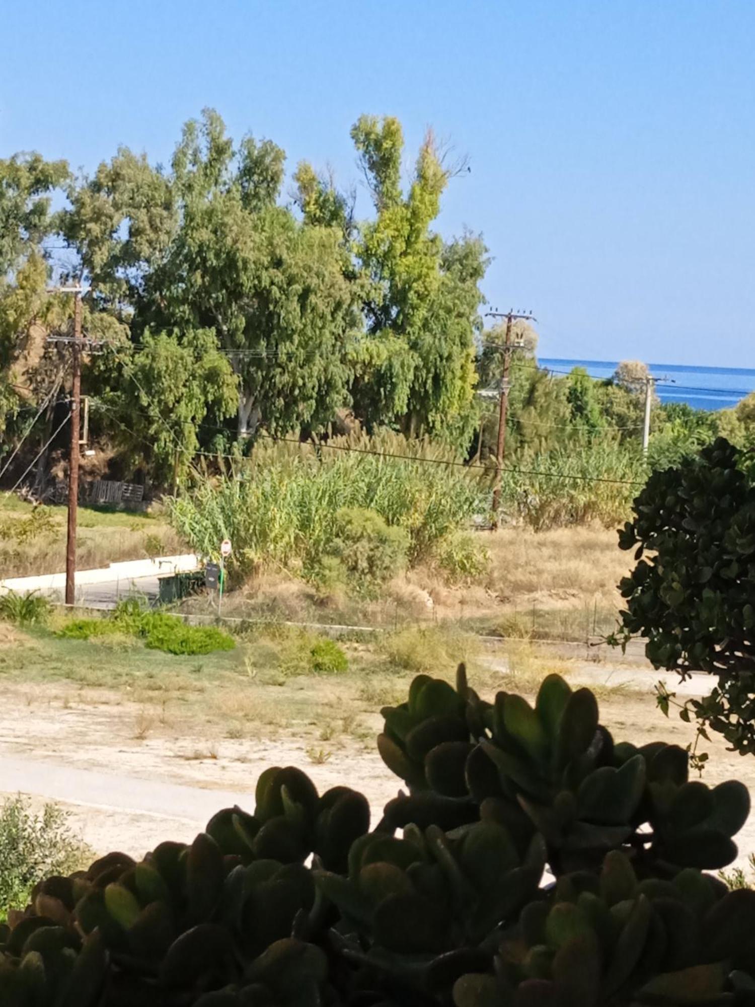 Ilona Apartments Chania 카토다라초 객실 사진