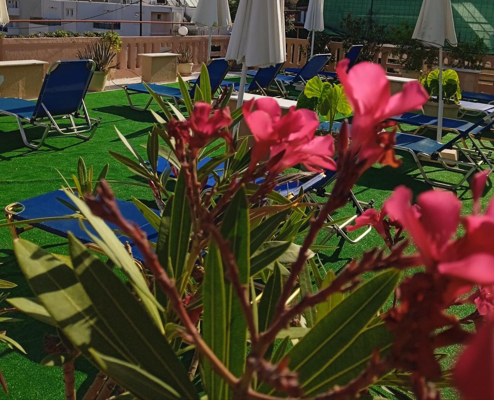 Ilona Apartments Chania 카토다라초 객실 사진